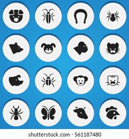 Set Of 16 Editable Animal Icons. Includes Symbols Such As Moth, Puppy, Cockroach And More. Can Be Used For Web, Mobile, UI And Infographic Design.