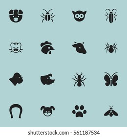 Set Of 16 Editable Animal Icons. Includes Symbols Such As Puppy, Sow, Moth And More. Can Be Used For Web, Mobile, UI And Infographic Design.