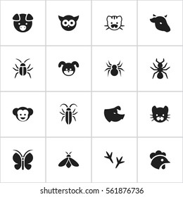 Set Of 16 Editable Animal Icons. Includes Symbols Such As Arachind, Bird, Hog And More. Can Be Used For Web, Mobile, UI And Infographic Design.