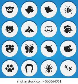Set Of 16 Editable Animal Icons. Includes Symbols Such As Grizzly, Rooster, Forepaw And More. Can Be Used For Web, Mobile, UI And Infographic Design.