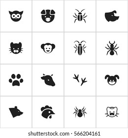 Set Of 16 Editable Animal Icons. Includes Symbols Such As Arachind, Bird, Rooster And More. Can Be Used For Web, Mobile, UI And Infographic Design.