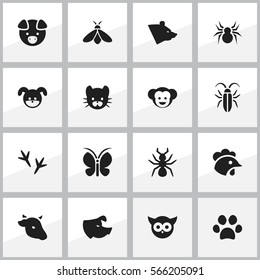 Set Of 16 Editable Animal Icons. Includes Symbols Such As Feline, Forepaw, Baboon And More. Can Be Used For Web, Mobile, UI And Infographic Design.