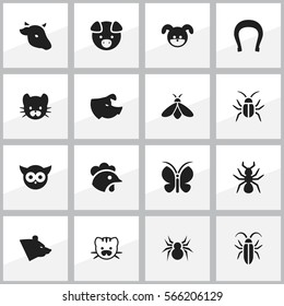 Set Of 16 Editable Animal Icons. Includes Symbols Such As Feline, Honey, Arachind And More. Can Be Used For Web, Mobile, UI And Infographic Design.