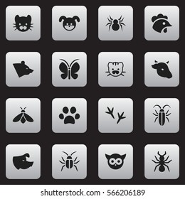 Set Of 16 Editable Animal Icons. Includes Symbols Such As Puppy, Footprint, Moth And More. Can Be Used For Web, Mobile, UI And Infographic Design.