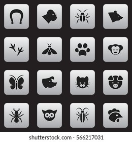 Set Of 16 Editable Animal Icons. Includes Symbols Such As Chimpanzee, Feline, Baboon And More. Can Be Used For Web, Mobile, UI And Infographic Design.