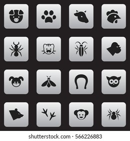 Set Of 16 Editable Animal Icons. Includes Symbols Such As Beast, Arachind, Bug And More. Can Be Used For Web, Mobile, UI And Infographic Design.
