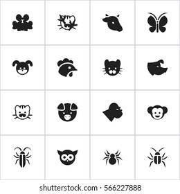 Set Of 16 Editable Animal Icons. Includes Symbols Such As Bird, Cockroach, Feline And More. Can Be Used For Web, Mobile, UI And Infographic Design.