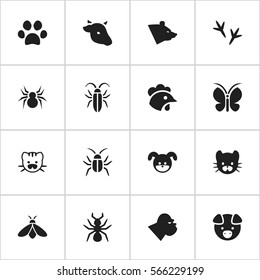 Set Of 16 Editable Animal Icons. Includes Symbols Such As Hog, Puppy, Grizzly And More. Can Be Used For Web, Mobile, UI And Infographic Design.