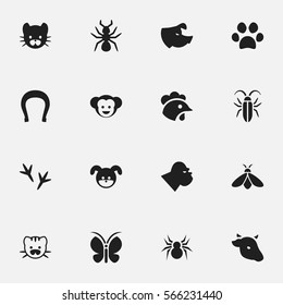 Set Of 16 Editable Animal Icons. Includes Symbols Such As Arachind, Bedbug, Footprint And More. Can Be Used For Web, Mobile, UI And Infographic Design.