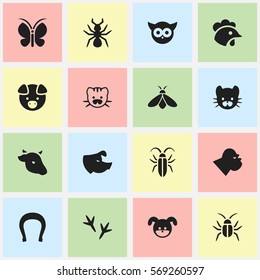 Set Of 16 Editable Animal Icons. Includes Symbols Such As Bird, Bedbug, Hog And More. Can Be Used For Web, Mobile, UI And Infographic Design.