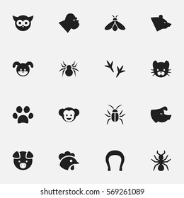 Set Of 16 Editable Animal Icons. Includes Symbols Such As Grizzly, Chimpanzee, Hog And More. Can Be Used For Web, Mobile, UI And Infographic Design.