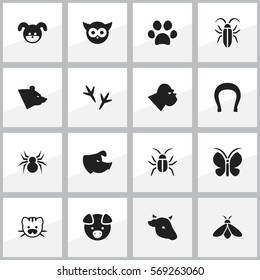 Set Of 16 Editable Animal Icons. Includes Symbols Such As Bug, Honey, Beast And More. Can Be Used For Web, Mobile, UI And Infographic Design.