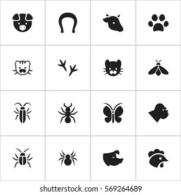 Set Of 16 Editable Animal Icons. Includes Symbols Such As Forepaw, Rooster, Moth And More. Can Be Used For Web, Mobile, UI And Infographic Design.