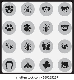 Set Of 16 Editable Animal Icons. Includes Symbols Such As Arachind, Bug, Talisman And More. Can Be Used For Web, Mobile, UI And Infographic Design.