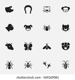 Set Of 16 Editable Animal Icons. Includes Symbols Such As Chimpanzee, Beast, Talisman And More. Can Be Used For Web, Mobile, UI And Infographic Design.