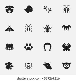 Set Of 16 Editable Animal Icons. Includes Symbols Such As Forepaw, Rooster, Footprint And More. Can Be Used For Web, Mobile, UI And Infographic Design.