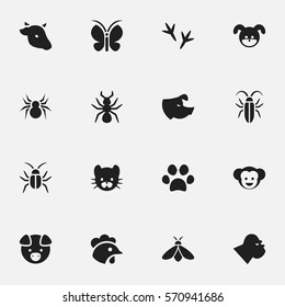 Set Of 16 Editable Animal Icons. Includes Symbols Such As Chimpanzee, Rooster, Arachind And More. Can Be Used For Web, Mobile, UI And Infographic Design.