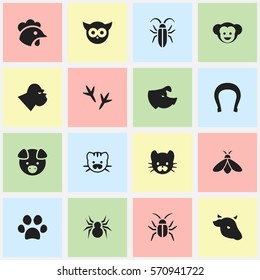 Set Of 16 Editable Animal Icons. Includes Symbols Such As Arachind, Bug, Rooster And More. Can Be Used For Web, Mobile, UI And Infographic Design.