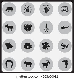 Set Of 16 Editable Animal Icons. Includes Symbols Such As Cockroach, Octopus, Conch And More. Can Be Used For Web, Mobile, UI And Infographic Design.
