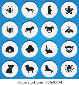 Set Of 16 Editable Animal Icons. Includes Symbols Such As Arachind, Night Fowl, Chimpanzee And More. Can Be Used For Web, Mobile, UI And Infographic Design.