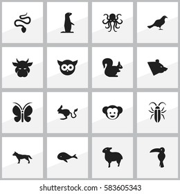 Set Of 16 Editable Animal Icons. Includes Symbols Such As Dog, Groundhog, Gull And More. Can Be Used For Web, Mobile, UI And Infographic Design.
