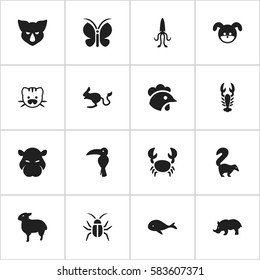 Set Of 16 Editable Animal Icons. Includes Symbols Such As Rhino, Cockroach, Skunk And More. Can Be Used For Web, Mobile, UI And Infographic Design.