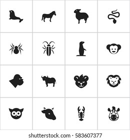 Set Of 16 Editable Animal Icons. Includes Symbols Such As Wildcat, Arachind, Stallion And More. Can Be Used For Web, Mobile, UI And Infographic Design.