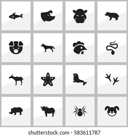 Set Of 16 Editable Animal Icons. Includes Symbols Such As Arachind, Serpent, Gazelle And More. Can Be Used For Web, Mobile, UI And Infographic Design.