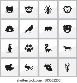 Set Of 16 Editable Animal Icons. Includes Symbols Such As Groundhog, Hog, Sow And More. Can Be Used For Web, Mobile, UI And Infographic Design.