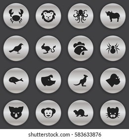 Set Of 16 Editable Animal Icons. Includes Symbols Such As Feline, Lobster, Arachind And More. Can Be Used For Web, Mobile, UI And Infographic Design.