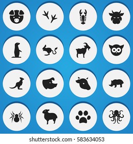 Set Of 16 Editable Animal Icons. Includes Symbols Such As Crawfish, Night Fowl, Kine And More. Can Be Used For Web, Mobile, UI And Infographic Design.