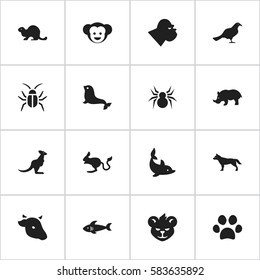 Set Of 16 Editable Animal Icons. Includes Symbols Such As Rhino, Chimpanzee, Sea Calf And More. Can Be Used For Web, Mobile, UI And Infographic Design.