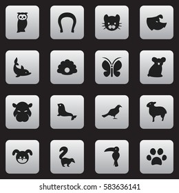 Set Of 16 Editable Animal Icons. Includes Symbols Such As Sow, Australian Bear, Lamb And More. Can Be Used For Web, Mobile, UI And Infographic Design.