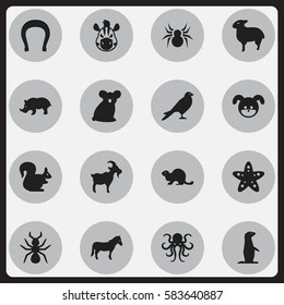 Set Of 16 Editable Animal Icons. Includes Symbols Such As Puppy, Talisman, Bedbug And More. Can Be Used For Web, Mobile, UI And Infographic Design.