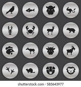 Set Of 16 Editable Animal Icons. Includes Symbols Such As Reindeer, Livestock, Hippopotamus And More. Can Be Used For Web, Mobile, UI And Infographic Design.