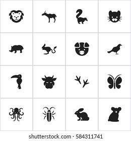 Set Of 16 Editable Animal Icons. Includes Symbols Such As Wildcat, Gull, Australian Bear And More. Can Be Used For Web, Mobile, UI And Infographic Design.