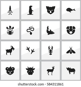 Set Of 16 Editable Animal Icons. Includes Symbols Such As Kine, Rhinoceros, Serpent And More. Can Be Used For Web, Mobile, UI And Infographic Design.