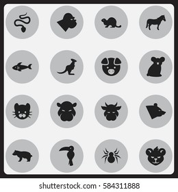 Set Of 16 Editable Animal Icons. Includes Symbols Such As Shark, Australian Bear, Kine And More. Can Be Used For Web, Mobile, UI And Infographic Design.