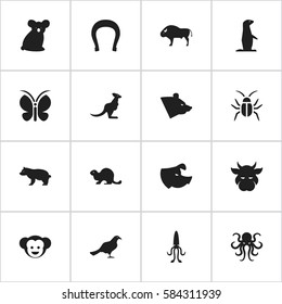 Set Of 16 Editable Animal Icons. Includes Symbols Such As Tentacle, Baboon, Australian Bear And More. Can Be Used For Web, Mobile, UI And Infographic Design.