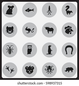 Set Of 16 Editable Animal Icons. Includes Symbols Such As Tentacle, Rhino, Talisman And More. Can Be Used For Web, Mobile, UI And Infographic Design.