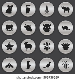 Set Of 16 Editable Animal Icons. Includes Symbols Such As Ox, Horse, Wildlife Castor And More. Can Be Used For Web, Mobile, UI And Infographic Design.