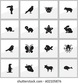 Set Of 16 Editable Animal Icons. Includes Symbols Such As Polar Animal, Wildlife Castor, Groundhog And More. Can Be Used For Web, Mobile, UI And Infographic Design.