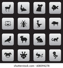 Set Of 16 Editable Animal Icons. Includes Symbols Such As Lamb, Puppy, Kangaroo And More. Can Be Used For Web, Mobile, UI And Infographic Design.