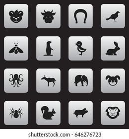 Set Of 16 Editable Animal Icons. Includes Symbols Such As Bird, Gull, Tentacle And More. Can Be Used For Web, Mobile, UI And Infographic Design.