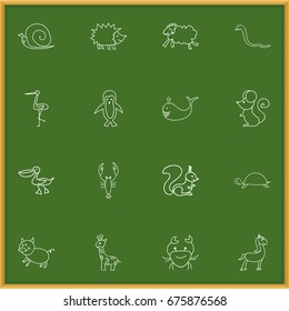 Set Of 16 Editable Animal Icons. Includes Symbols Such As Cachalot, Swine, Rat And More. Can Be Used For Web, Mobile, UI And Infographic Design.