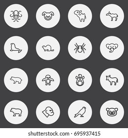 Set Of 16 Editable Animal Outline Icons. Includes Symbols Such As Beaver, Proboscis, Dogfish And More. Can Be Used For Web, Mobile, UI And Infographic Design.