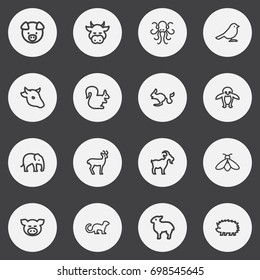 Set Of 16 Editable Animal Outline Icons. Includes Symbols Such As Polecat, Rodent Desert, Deer And More. Can Be Used For Web, Mobile, UI And Infographic Design.