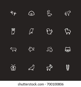 Set Of 16 Editable Animal Outline Icons. Includes Symbols Such As Smelly Animal, Crayfish, Bird Trace And More. Can Be Used For Web, Mobile, UI And Infographic Design.