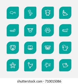 Set Of 16 Editable Animal Outline Icons. Includes Symbols Such As Bird, Piglet, Polecat And More. Can Be Used For Web, Mobile, UI And Infographic Design.