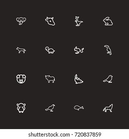 Set Of 16 Editable Animal Outline Icons. Includes Symbols Such As Kangaroo, Wolf, Toucan And More. Can Be Used For Web, Mobile, UI And Infographic Design.